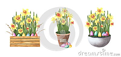 Easter set spring flowers daffodils in pot with colored eggs isolated on white. Watercolor hand drawing illustration Cartoon Illustration