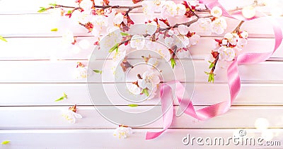 Easter Spring Blossom on white wooden plank background. Easter Apricot flowers on wood border art design. Pink blooming tree Stock Photo