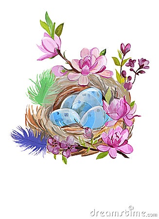 Hand painted watercolor thrush`s nest with eggs on white. Aquarelle nature illustration. Cartoon Illustration