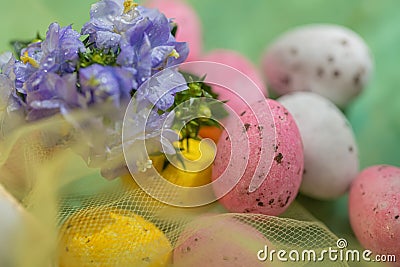 Easter sweet, pink, yellow eggs in a transparent yellow cloth and beautiful purple flowers with water drops. Religious Stock Photo