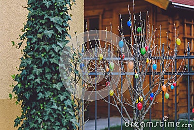 Easter Tree in Potsdam Editorial Stock Photo