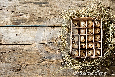 Easter wood background with box of eggs in nest Stock Photo