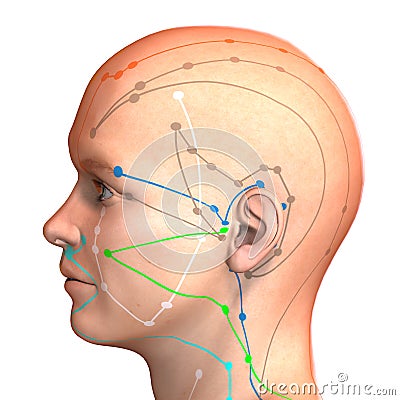 Eastern or Asian acupuncture and acupressure points on a male body Stock Photo