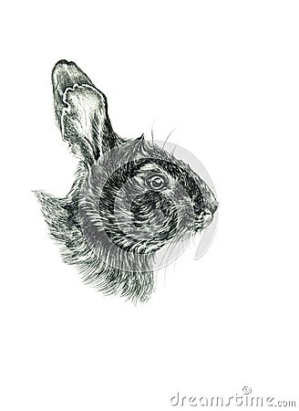 Eastern bunny drawing sketch Stock Photo