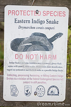 Eastern Indigo snake - Drymarchon corais couperi - Protection Sign Sansavilla WMA Endangered Species Act posted on fence in Editorial Stock Photo