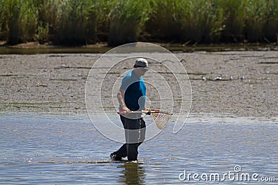 A crab hunter in shallow water with a net Editorial Stock Photo