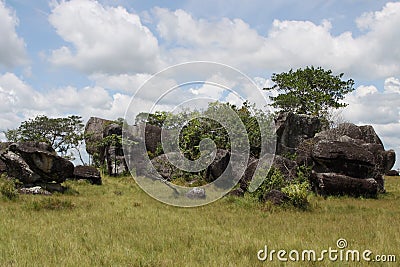 Eastern regions of Colombia. Stock Photo