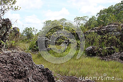 Eastern regions of Colombia. Stock Photo