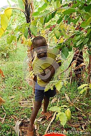 Eastern Uganda Editorial Stock Photo