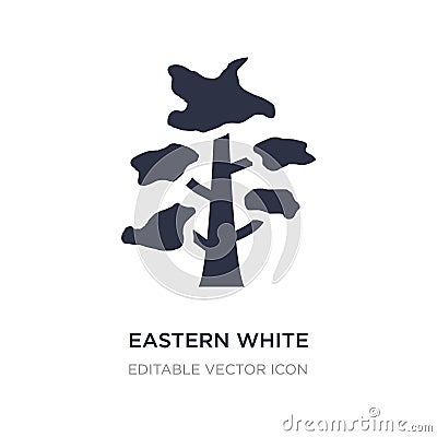 eastern white pine tree icon on white background. Simple element illustration from Nature concept Vector Illustration