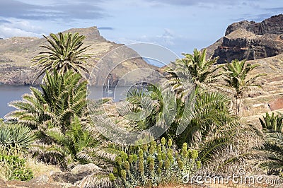 Easternmost part of the island Madeira, Ponta de Sao Lourenco, Canical town, peninsula, dry climate Stock Photo