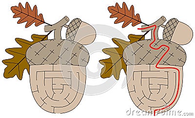 Easy acorn maze Vector Illustration