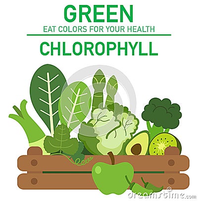 Eat colors for your health-GREEN FOOD Vector Illustration