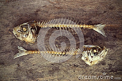 Eaten fish with head and tail Stock Photo