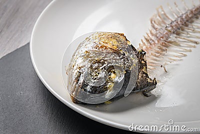 Eaten fish skeleton on the white plate on gray wooden table. Concept for food shortage and misery. Close up view Stock Photo