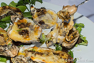 Eating Cajun Oysters on the half shell Stock Photo