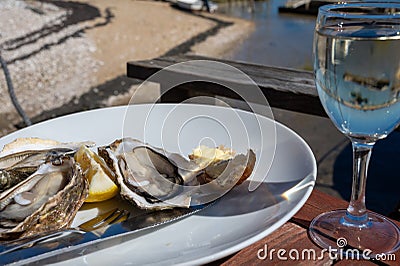 Eating of fresh live oysters at farm cafe in oyster-farming village, Arcachon bay, Cap Ferret peninsula, Bordeaux, France Stock Photo