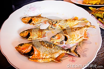Eating Red piranha dish at amazon river jungle Stock Photo