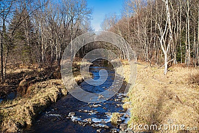 Eau Claire River in central Wisconsin starting to ice up on a calm November day Stock Photo