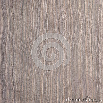 Ebony wood texture Stock Photo