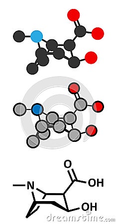 Ecgonine coca alkaloid molecule. Metabolite of cocaine Vector Illustration