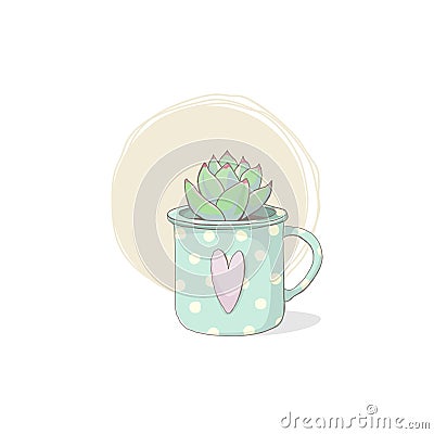 Echeveria in the cup Vector Illustration