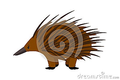 Echidna. Cute vector echidna character on white Vector Illustration