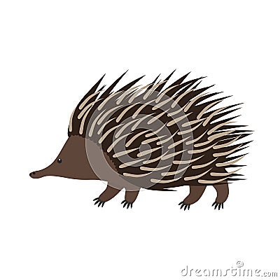 Echidna. Flat cartoon illustration Cartoon Illustration