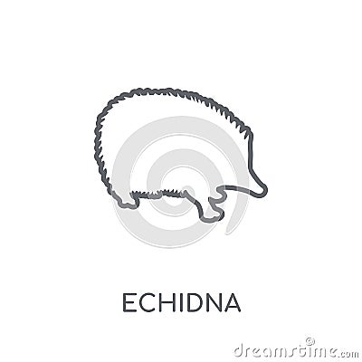 Echidna linear icon. Modern outline Echidna logo concept on whit Vector Illustration