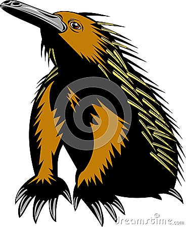 Echidna spiny anteater Vector Illustration