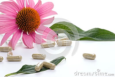 Echinacea capsules Stock Photo