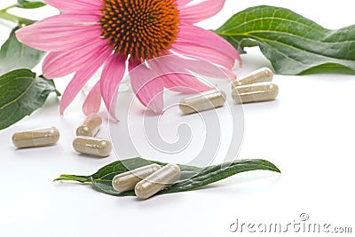 Echinacea capsules Stock Photo