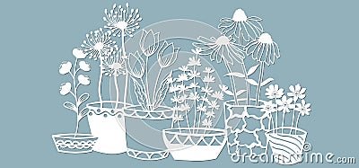 Echinacea, chamomile, schefler, noble hepatica, zephyrantes, stokesia. Vector illustration. Paper flowers for Laser cut. Template Vector Illustration