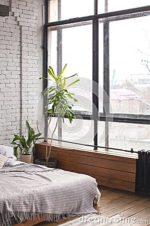 Eclectic bedroom interior with plants. Stock Photo