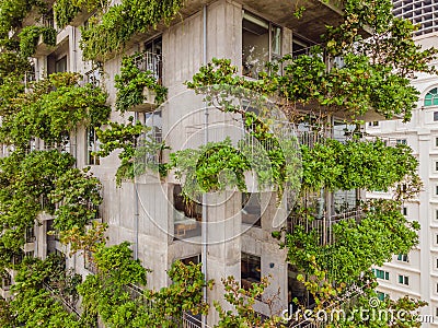 Eco architecture. Green cafe with hydroponic plants on the facade. Ecology and green living in city, urban environment Editorial Stock Photo