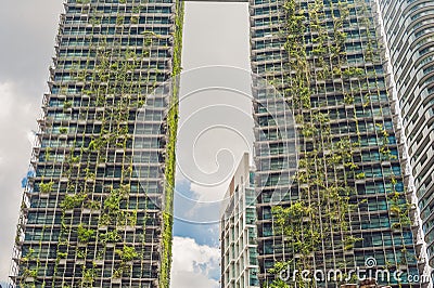 Eco architecture. Green skyscraper building with plants growing on the facade. Ecology and green living in city, urban environment Stock Photo