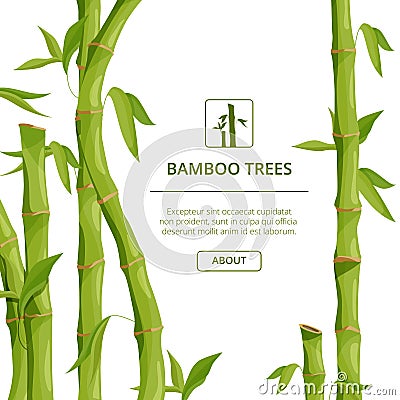 Eco background pictures with decorative illustrations of bamboo and place for your text Vector Illustration