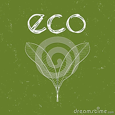 Eco badge with leaves for organic, natural, bio and eco friendly products on green shabby background. Stock Photo