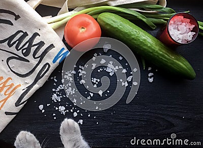 Eco bag with fresh vegetables and cats paws Stock Photo