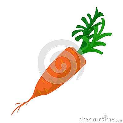 Eco carrot icon, cartoon style Vector Illustration