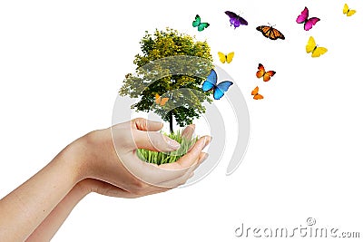 Eco concept Stock Photo