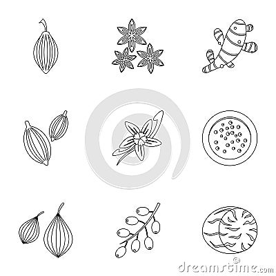 Eco condiment icon set, outline style Vector Illustration