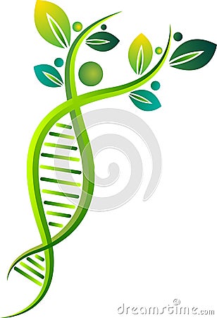 Eco DNA logo Vector Illustration