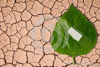 Eco ecology or nature protection concept Stock Photo