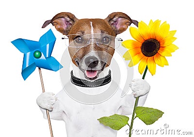 Eco energy dog Stock Photo