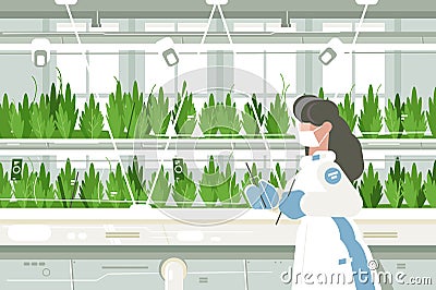 Eco farm with aquaponics system Vector Illustration