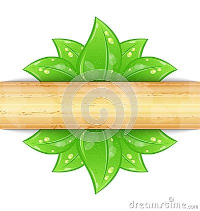 Eco friendly background with green leaves Vector Illustration