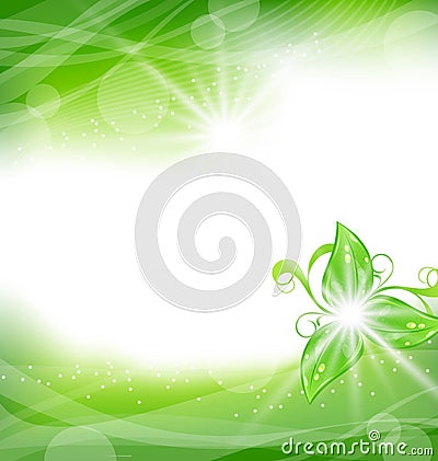 Eco friendly background with green leaves Vector Illustration