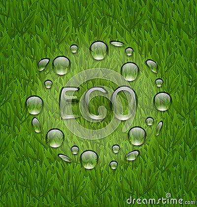 Eco friendly background with water drops on fresh green grass te Vector Illustration