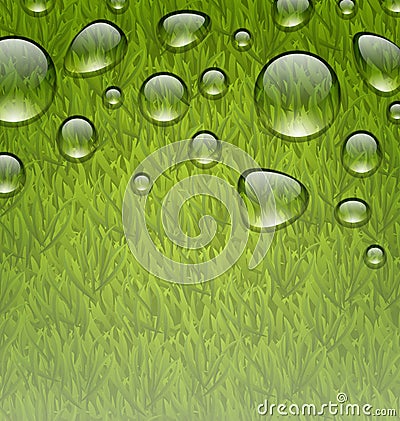 Eco friendly background with water drops on fresh green grass te Vector Illustration